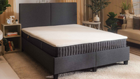 Usual_Assets_REVAMP_-_2024-10- Usual_Assets_REVAMP_-_2024-10-